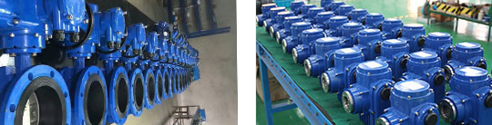 专业的生产技术团队 专业的生产技术团队